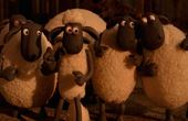 Shaun the Sheep 