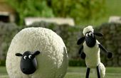 Shaun het schaap 