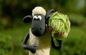 Shaun het schaap 