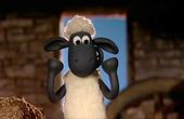 Shaun the Sheep 