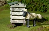 Shaun het schaap 