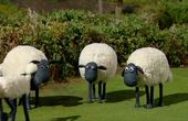 Shaun het schaap 