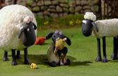 Shaun het schaap 