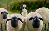 Shaun het schaap 