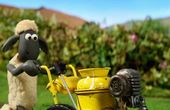 Shaun the Sheep 