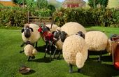 Shaun het schaap 