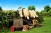 Shaun the Sheep 