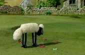 Shaun het schaap 