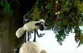 Shaun the Sheep 