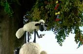 Shaun le mouton 