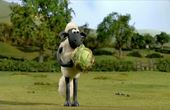 Shaun het schaap 