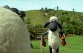 Shaun het schaap 