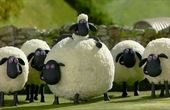 Shaun het schaap 