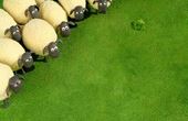 Shaun the Sheep 