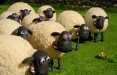 Shaun das Schaf 