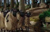 Shaun het schaap 