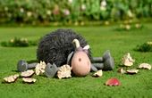 Shaun het schaap 