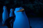 Die Pinguine aus Madagascar 