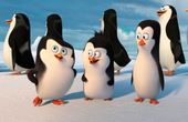 Die Pinguine aus Madagascar 