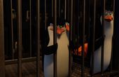 Die Pinguine aus Madagascar 