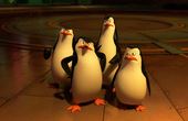 Die Pinguine aus Madagascar 