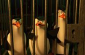 Pinguinos de Madagascar 