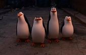 Pinguinos de Madagascar 