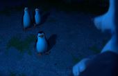 Penguins of Madagascar 