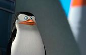 Penguins of Madagascar 