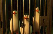 Os Pinguins de Madagascar 