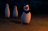 Die Pinguine aus Madagascar 