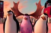 Die Pinguine aus Madagascar 