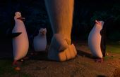 Die Pinguine aus Madagascar 