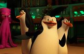 Die Pinguine aus Madagascar 