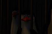 Penguins of Madagascar 