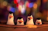 Die Pinguine aus Madagascar 