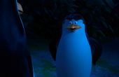 Die Pinguine aus Madagascar 