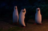 Penguins of Madagascar 