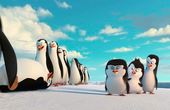 Die Pinguine aus Madagascar 