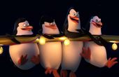 Die Pinguine aus Madagascar 