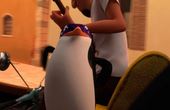 Penguins of Madagascar 