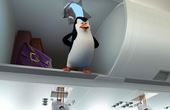 Die Pinguine aus Madagascar 