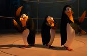 Die Pinguine aus Madagascar 