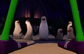 Die Pinguine aus Madagascar 