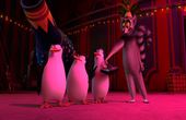 De Pinguins van Madagascar 
