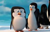 Die Pinguine aus Madagascar 