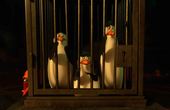 Pinguinos de Madagascar 