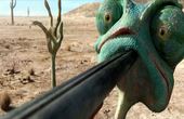 Rango 