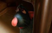 Ratatouille 