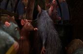 Ratatouille 